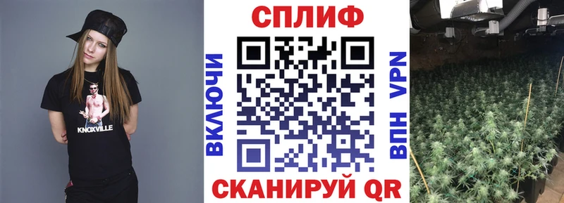 Амфетамин Электрогорск