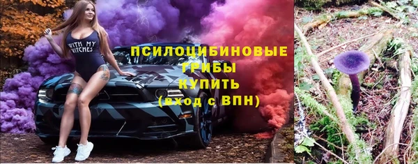 прущие грибы Алексеевка