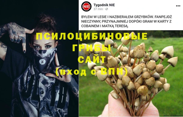 СК Алзамай